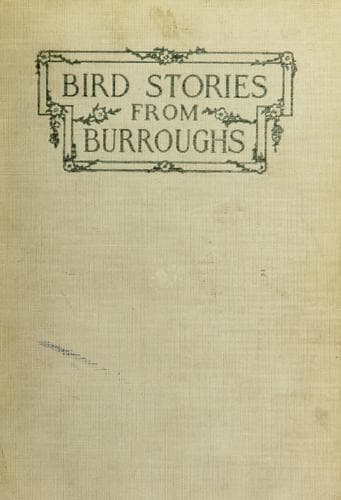 Tapa de Bird stories from Burroughs