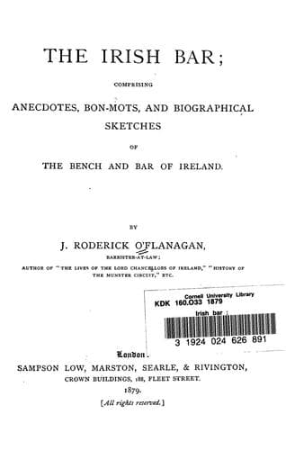 Tapa de The Irish bar