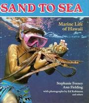 Tapa de Sand to sea