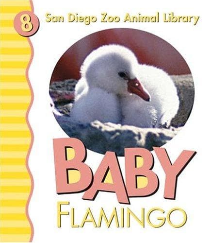 Tapa de Baby flamingo