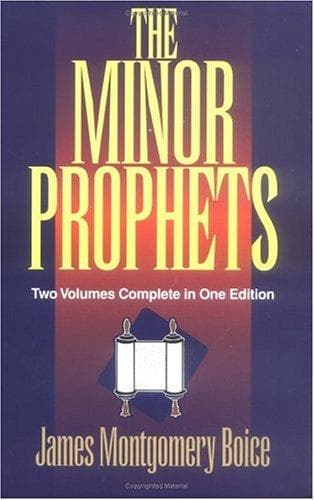 Tapa de The Minor Prophets