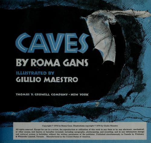 Tapa de Caves