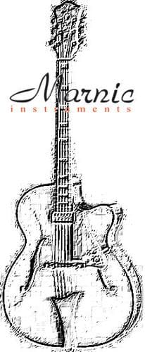 Tapa de The Hofner guitar