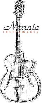 Tapa de The Hofner guitar