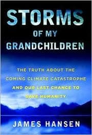 Tapa de Storms of my grandchildren
