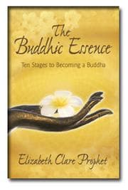 Tapa de The Buddhic essence