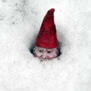 Tapa de How to draw gnomes (The wildlife nature library)