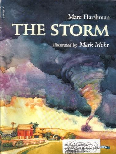 Tapa de The storm