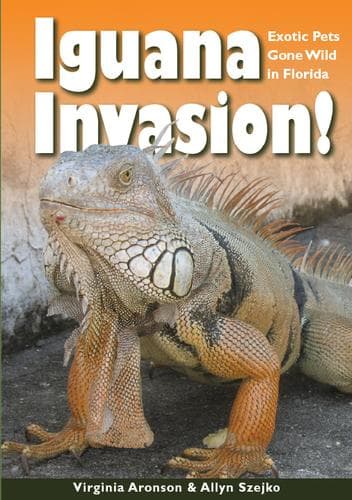 Tapa de Iguana invasion!