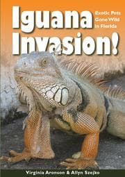 Tapa de Iguana invasion!