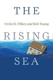 Tapa de The rising sea