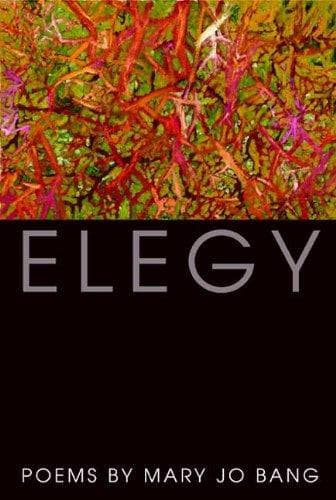 Tapa de Elegy