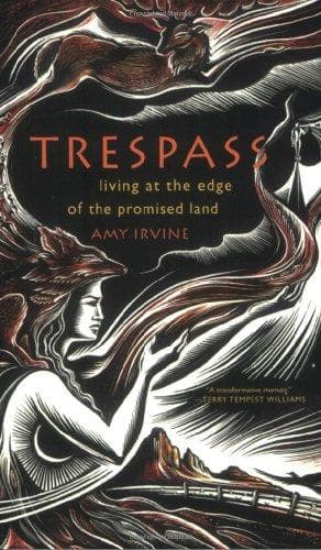 Tapa de Trespass