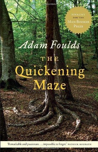 Tapa de The quickening maze