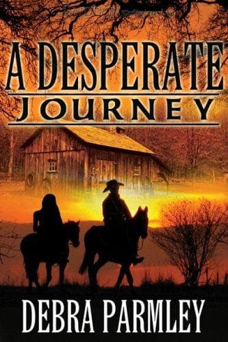 Tapa de A Desperate Journey