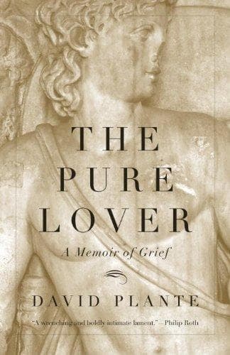 Tapa de The Pure Lover