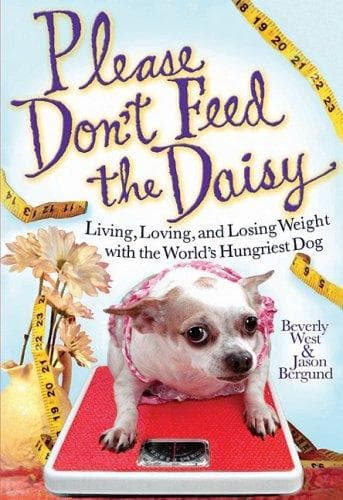 Tapa de Please don't feed the Daisy