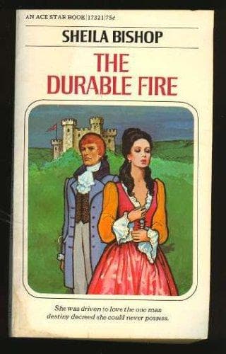 Tapa de The durable fire