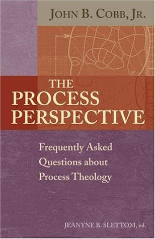 Tapa de Process Perspective