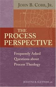 Tapa de Process Perspective
