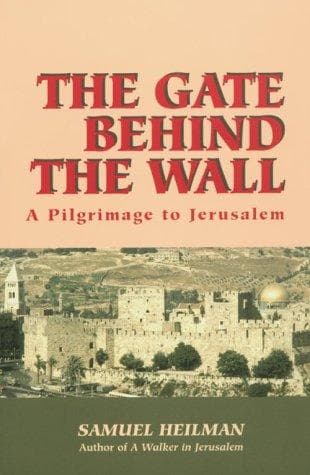 Tapa de The gate behind the wall