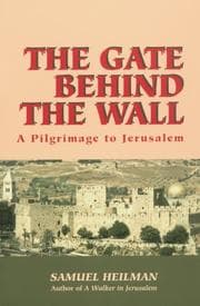 Tapa de The gate behind the wall