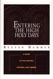 Tapa de Entering the High Holy Days