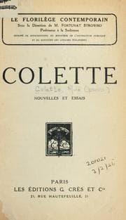 Tapa de Nouvelles et essais