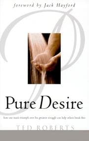 Tapa de Pure Desire