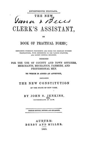 Tapa de The new clerk's assistant
