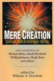 Tapa de Mere creation