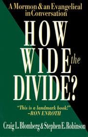 Tapa de How wide the divide?