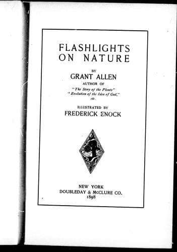 Tapa de Flashlights on nature