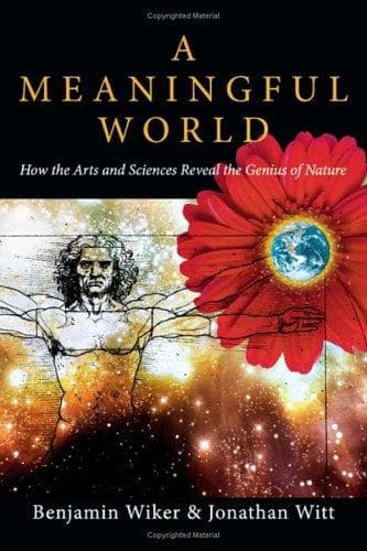 Tapa de A meaningful world