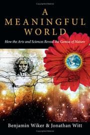 Tapa de A meaningful world