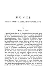 Tapa de Fungi