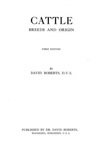 Tapa de Cattle, breeds and origin