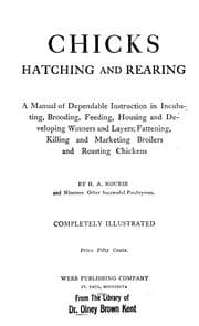Tapa de Chicks; hatching and rearing