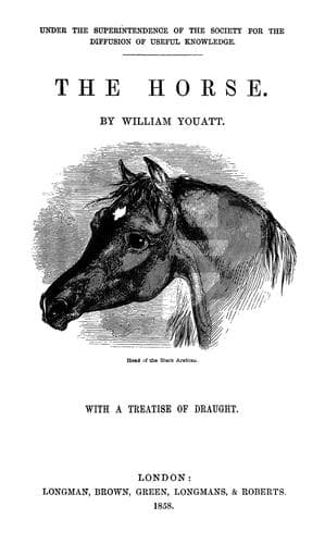 Tapa de The horse