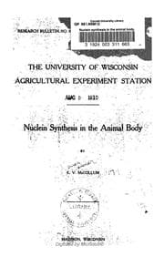 Tapa de Nuclein synthesis in the animal body