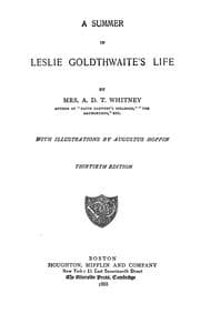 Tapa de A summer in Leslie Goldthwaite's life