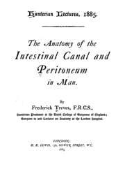 Tapa de The anatomy of the intestinal canal and peritoneum in man