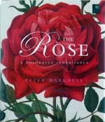 Tapa de The Rose (Mini Flora Editions)