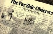 Tapa de The far side observer