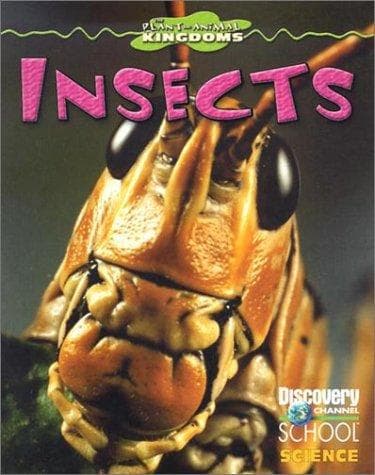 Tapa de Insects (Discovery Channel School Science)