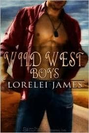 Tapa de Wild West Boys