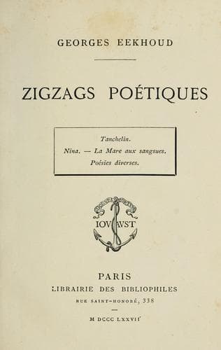 Tapa de Zigzags poétiques