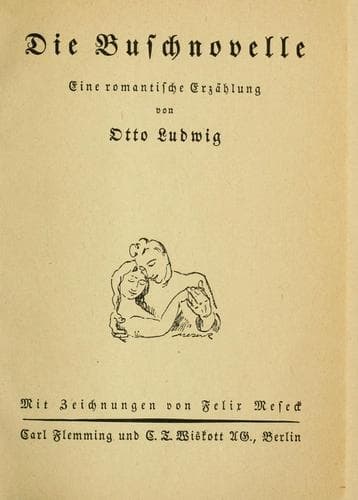 Tapa de Die Buschnovelle