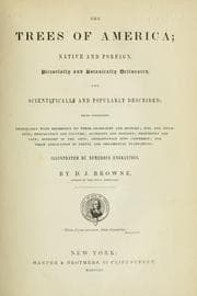 Tapa de The trees of America: native and foreign, pictorially and botanically delineated, and scientifically and popularly described...illustrated by numerous engravings