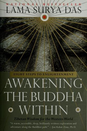 Tapa de Awakening the Buddha within